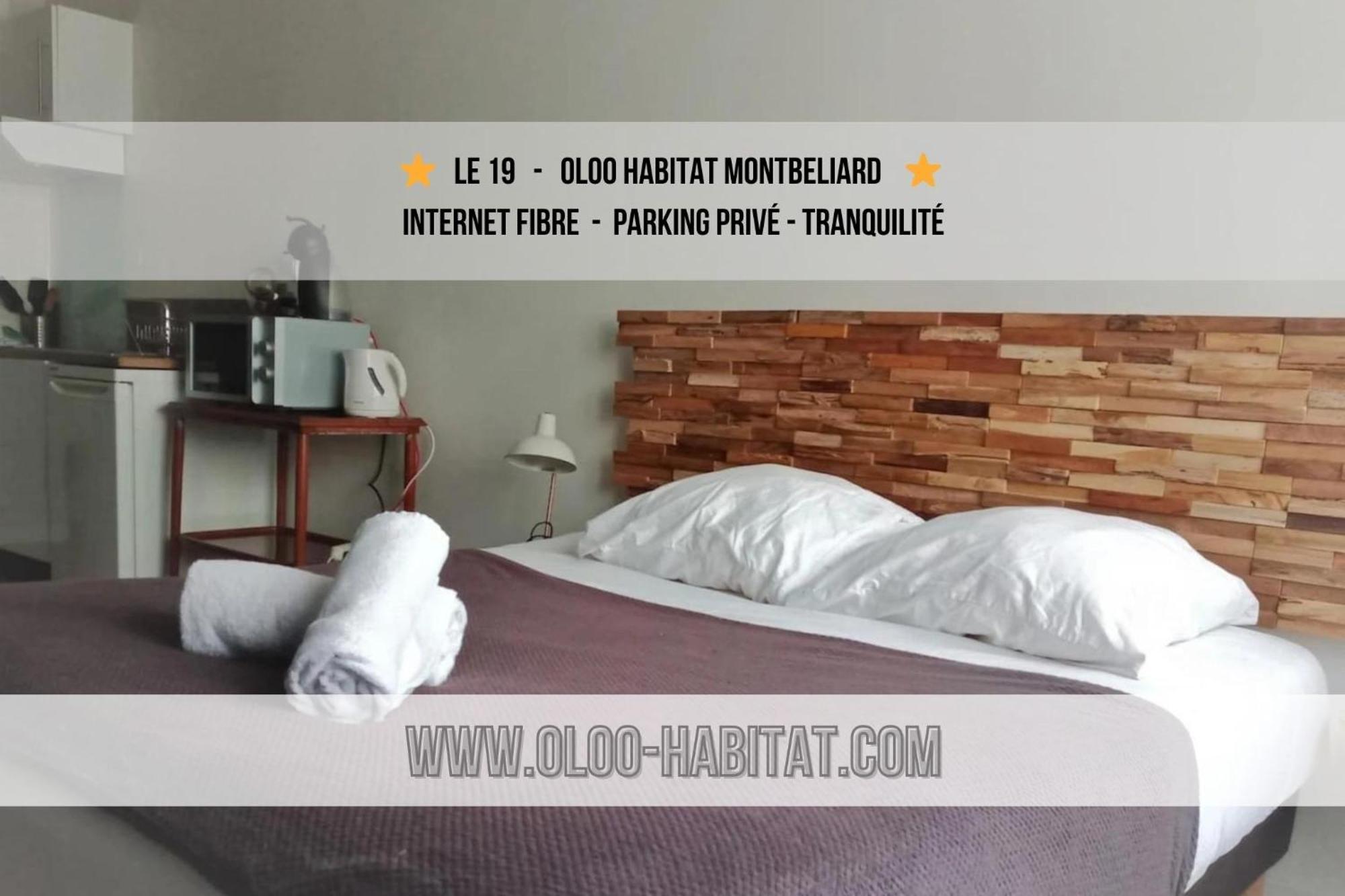 Oloo Habitat - Le19 - Parking Prive Apartment Montbeliard Ngoại thất bức ảnh